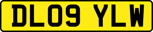 DL09YLW