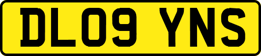 DL09YNS