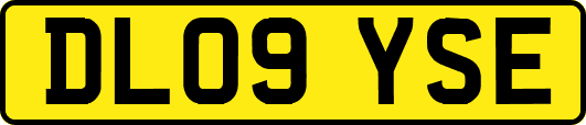DL09YSE
