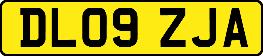 DL09ZJA