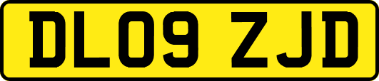 DL09ZJD