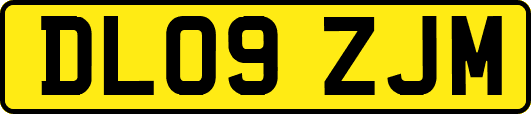 DL09ZJM