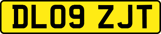 DL09ZJT