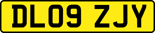 DL09ZJY