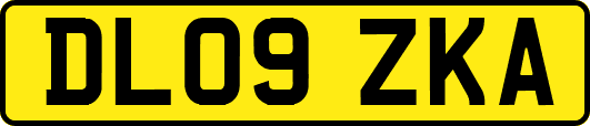 DL09ZKA