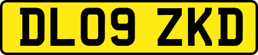 DL09ZKD