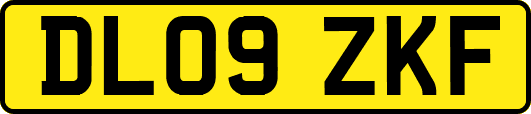 DL09ZKF