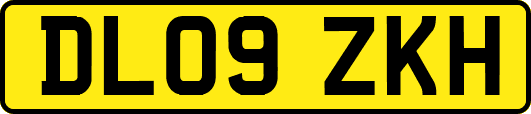 DL09ZKH