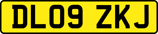DL09ZKJ
