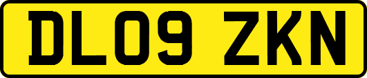 DL09ZKN