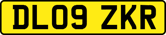 DL09ZKR