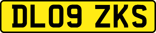 DL09ZKS