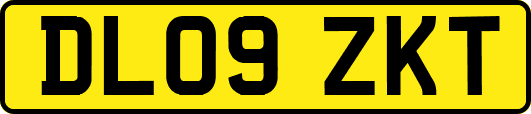 DL09ZKT