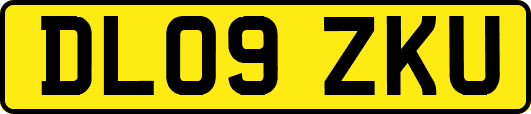DL09ZKU