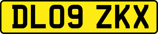 DL09ZKX
