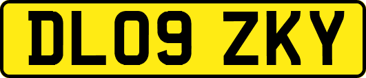 DL09ZKY