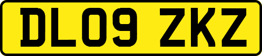 DL09ZKZ