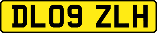 DL09ZLH