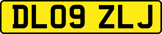 DL09ZLJ