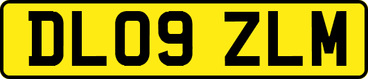 DL09ZLM