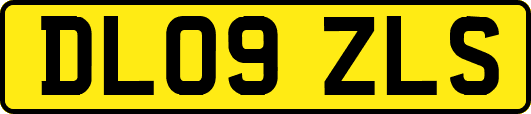 DL09ZLS