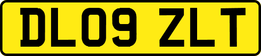 DL09ZLT