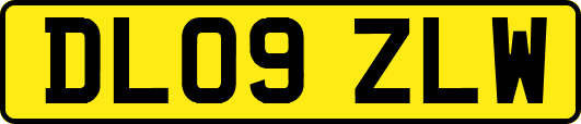 DL09ZLW