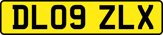 DL09ZLX