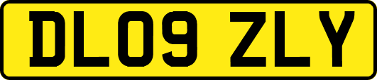 DL09ZLY