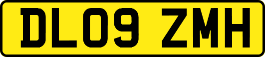 DL09ZMH