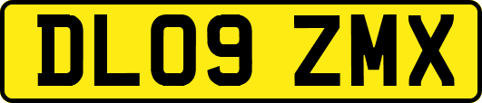 DL09ZMX