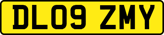 DL09ZMY