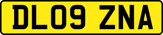DL09ZNA
