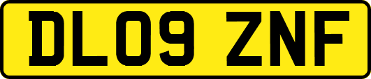 DL09ZNF