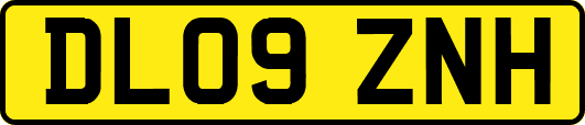 DL09ZNH