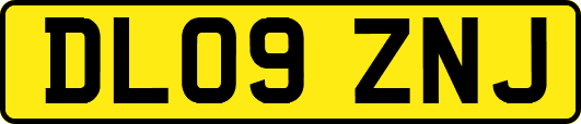 DL09ZNJ