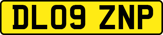 DL09ZNP