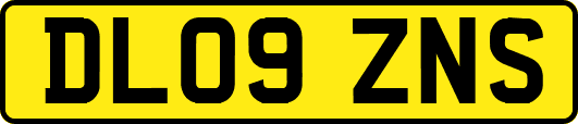 DL09ZNS