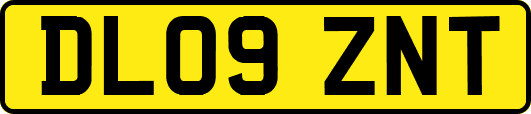 DL09ZNT