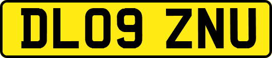 DL09ZNU