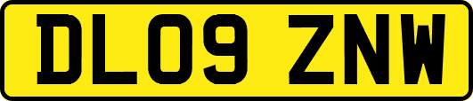 DL09ZNW