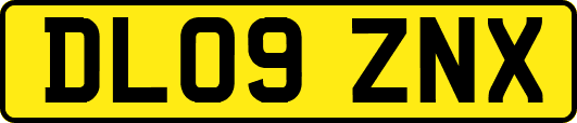DL09ZNX