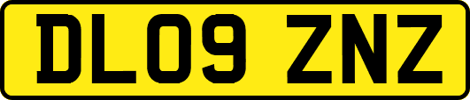DL09ZNZ