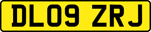 DL09ZRJ