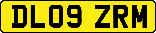 DL09ZRM