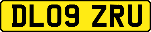 DL09ZRU