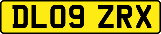 DL09ZRX