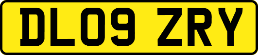 DL09ZRY