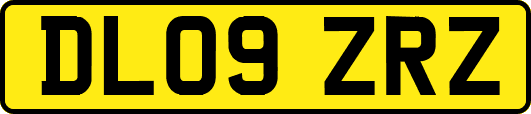 DL09ZRZ