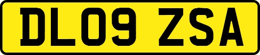 DL09ZSA